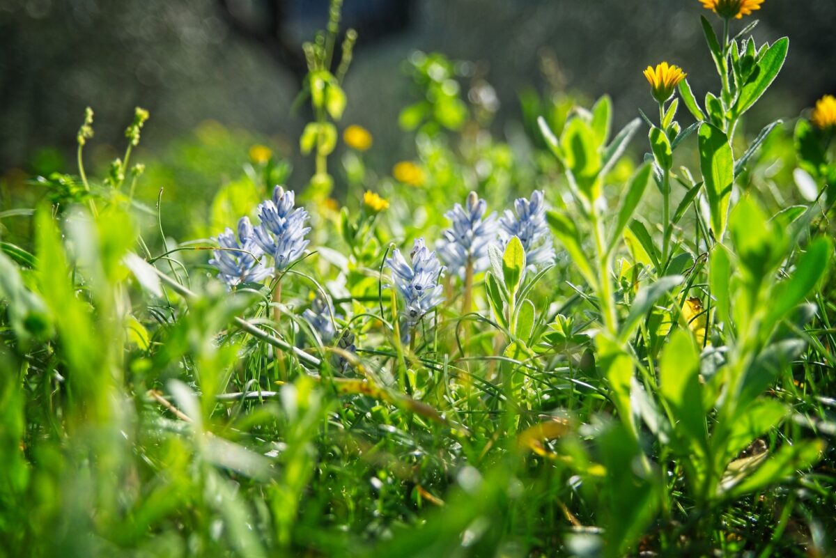 Hiking On  Zakynthos…