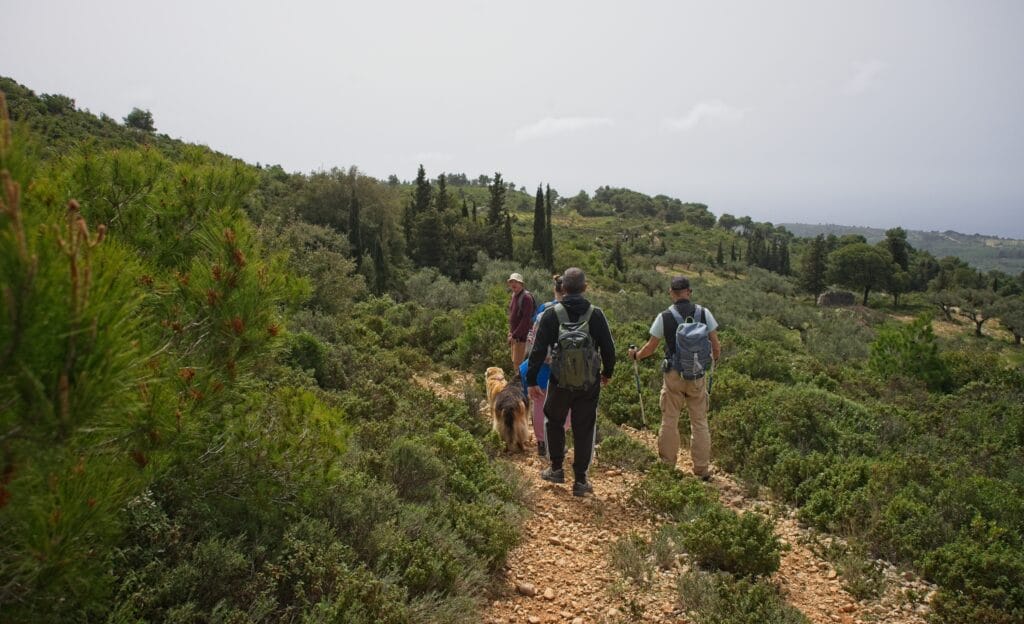 A group of hikers